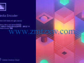 Adobe Media Encoder CC2020中文破解版免费下载