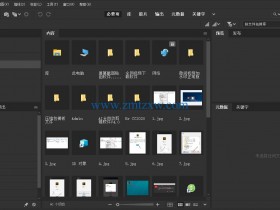Adobe Bridge CC2020中文破解版免费下载