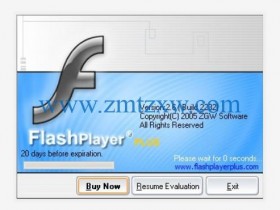 一款多功能转换Macromedia Flash的软件，ZGW Flash Player Plus11.9.5.0免费下载