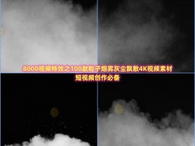 8000视频特效之100款粒子烟雾灰尘飘散4K视频素材
