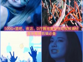 500G+酒吧、夜店、DJ打碟、韩国女团狂欢视频素材，音乐视频剪辑必备（第1季）