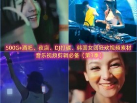 500G+酒吧、夜店、DJ打碟、韩国女团狂欢视频素材，音乐视频剪辑必备（第3季）