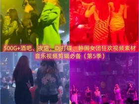 500G+酒吧、夜店、DJ打碟、韩国女团狂欢视频素材，音乐视频剪辑必备（第5季）