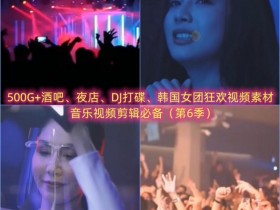 500G+酒吧、夜店、DJ打碟、韩国女团狂欢视频素材，音乐视频剪辑必备（第6季）