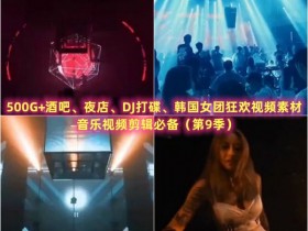 500G+酒吧、夜店、DJ打碟、韩国女团狂欢视频素材，音乐视频剪辑必备（第9季）