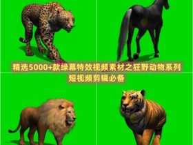 精选5000+款绿幕特效视频素材之狂野动物系列，短视频剪辑必备